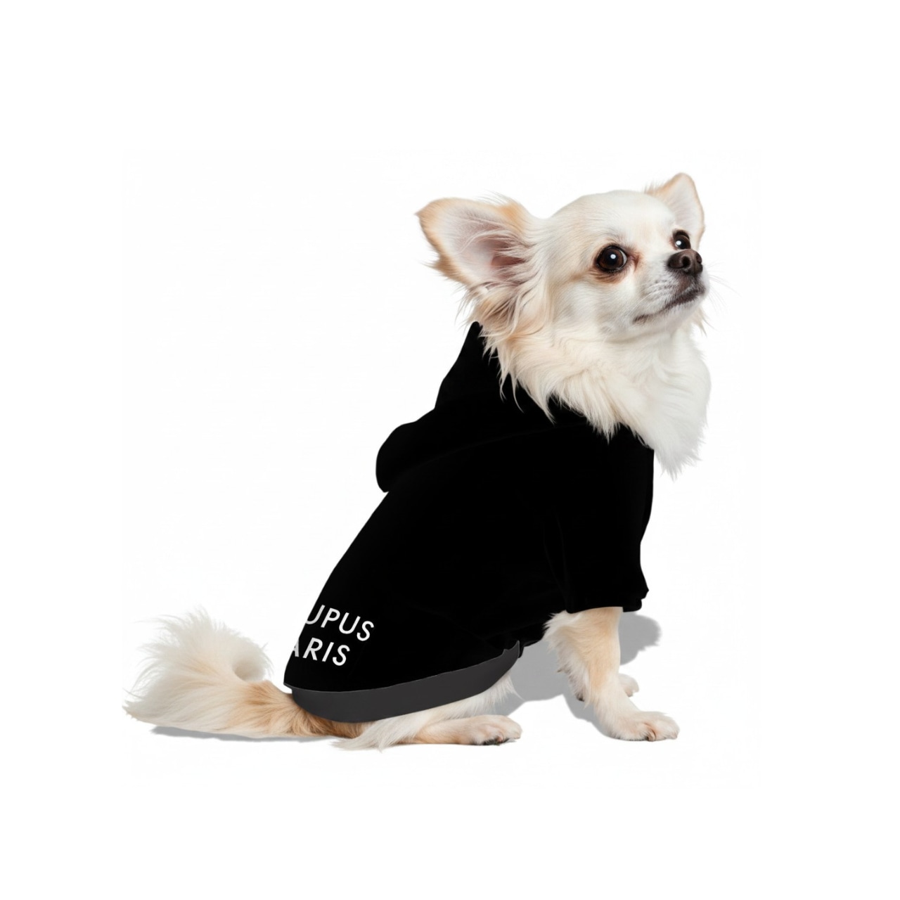 【受注生産・オリジナル】Dog Hoodie BLACK
