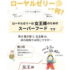 「定期購入・ 3ヶ月ごと届く」「送料無料」台湾産生ローヤルゼリー500g(約5ヶ月分)x1本