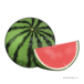 種なしスイカ　seedless watermelon