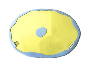 TABLE MATES RO  Clear Yellow  Matt Light Blue  "Fish Design by Gaetano Pesce"  /  CORSI DESIGN