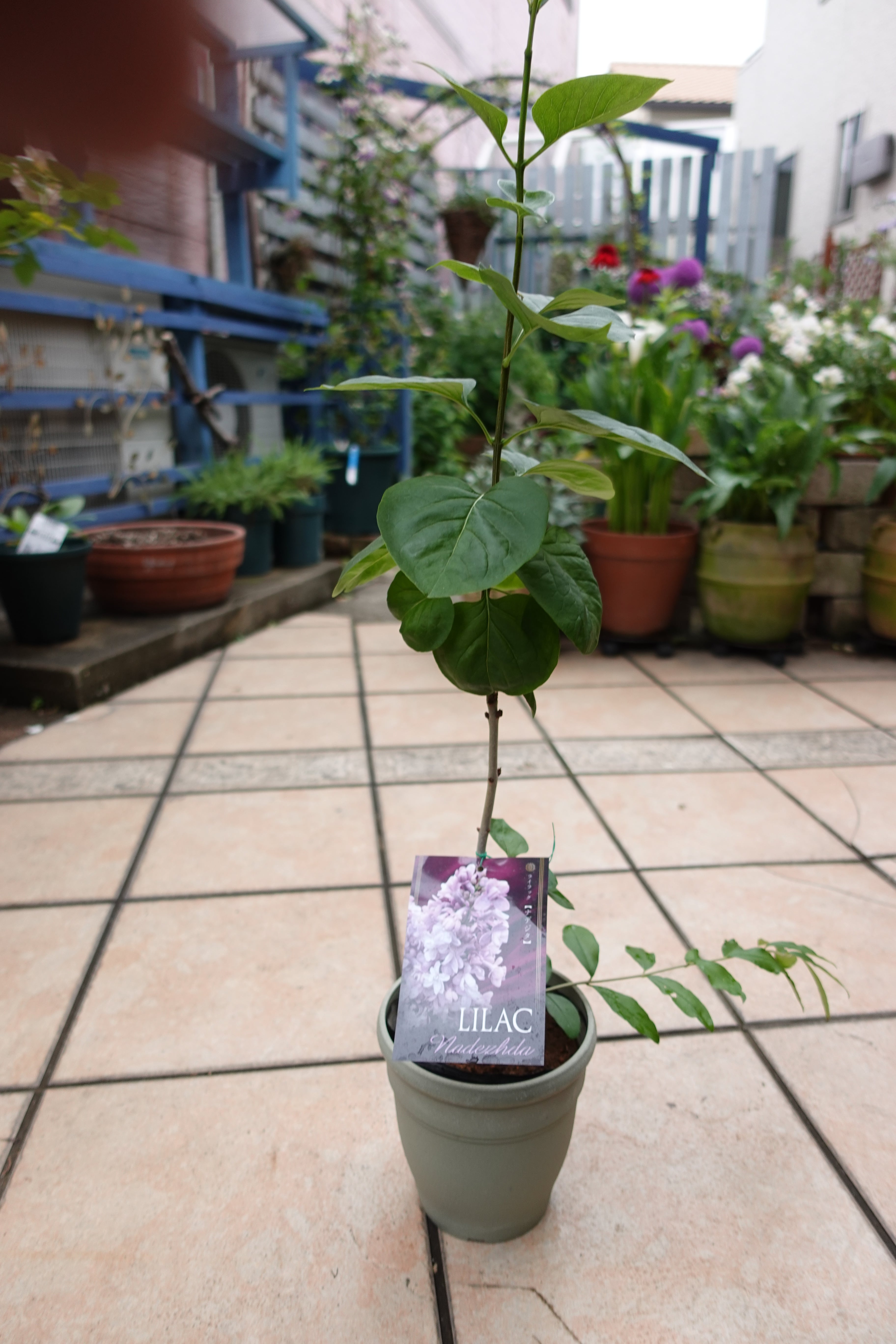 fd1c76203fc32d98a059373f70efa0