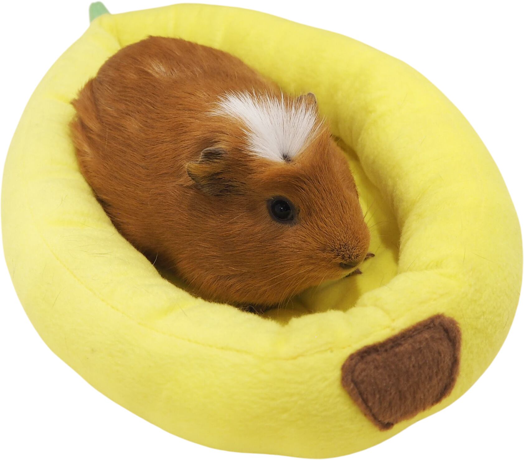 【小動物用品】フルーツベッド バナナ/パパイヤ