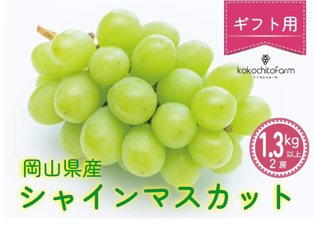 ギフト用】岡山県産シャインマスカット 1.3kg | kokochitofarm