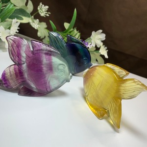 大家族☆海のアニマル♪♪フローライトお魚さん☆