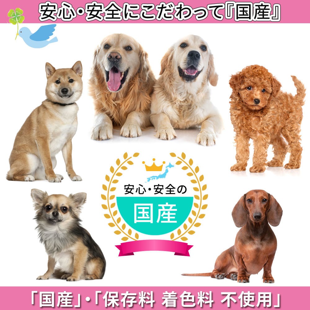DogFoodle) ドッグフードル 犬食 選べる 5個 お試し 小分け セット