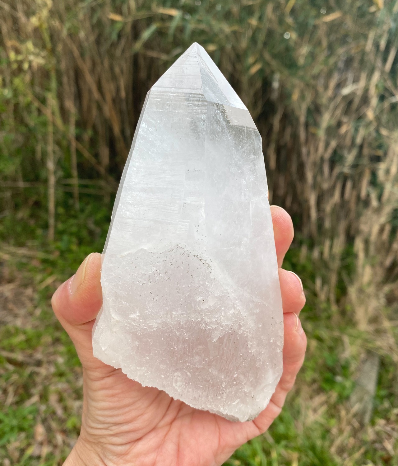 大きなセルフヒールド