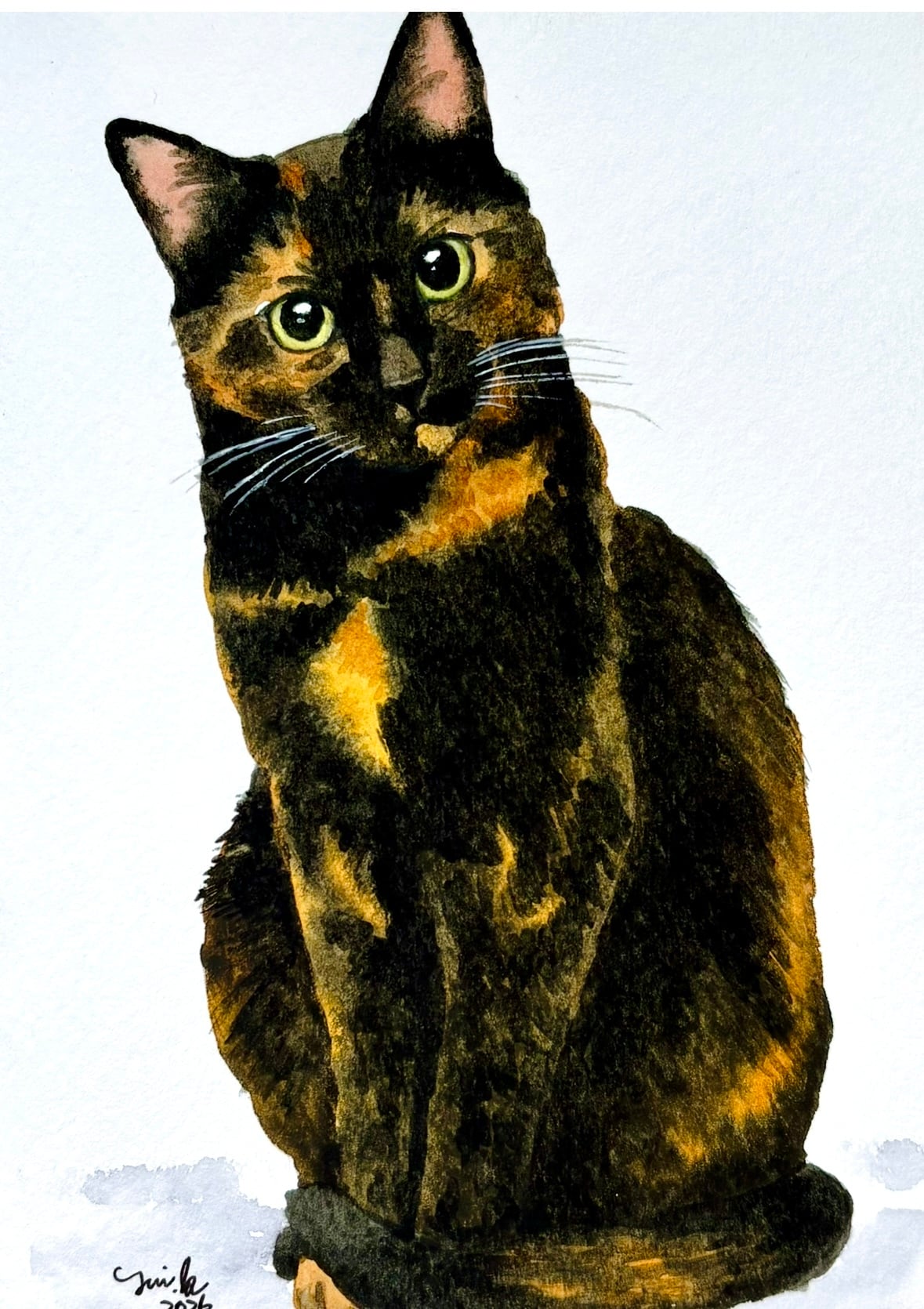 猫の絵 442 水彩画 原画 サビ猫 | Forest cat