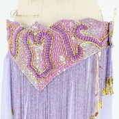 ベリーダンス オリエンタル 衣装 上下セット パープル系 トップス スカート ベルト チョーカー ベール アーム 紫 金 フリンジ 淡い 装飾 豪華 アーム飾り 腕飾り かわいい スリット 華やか ダンス衣装 イベント ステージ