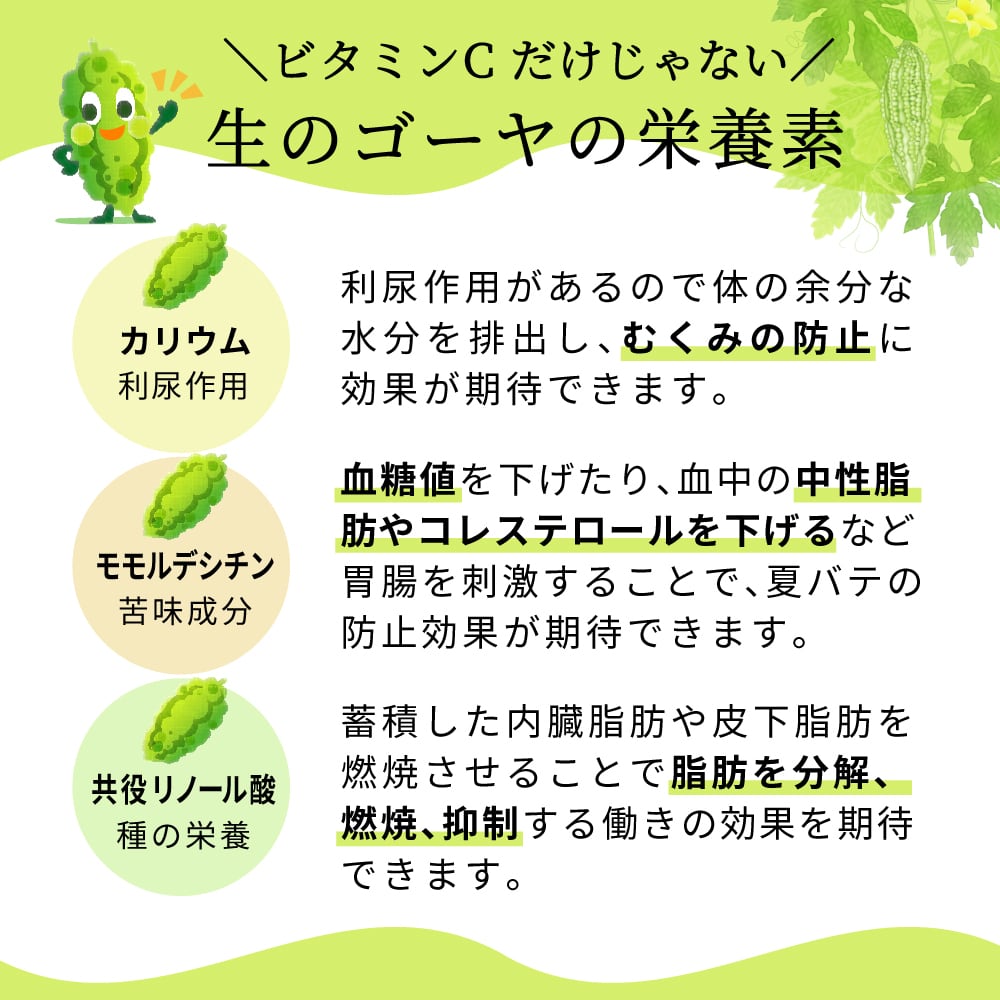 桜島溶岩焙煎／ゴーヤ茶 45g【1袋】 | オキス公式ショップ