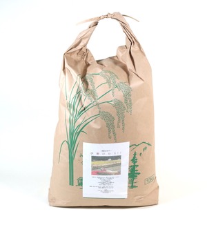 坂井米（いせひかり岡山）10kg ｜農薬不使用 天日干し（玄米） ｜令和7年度産