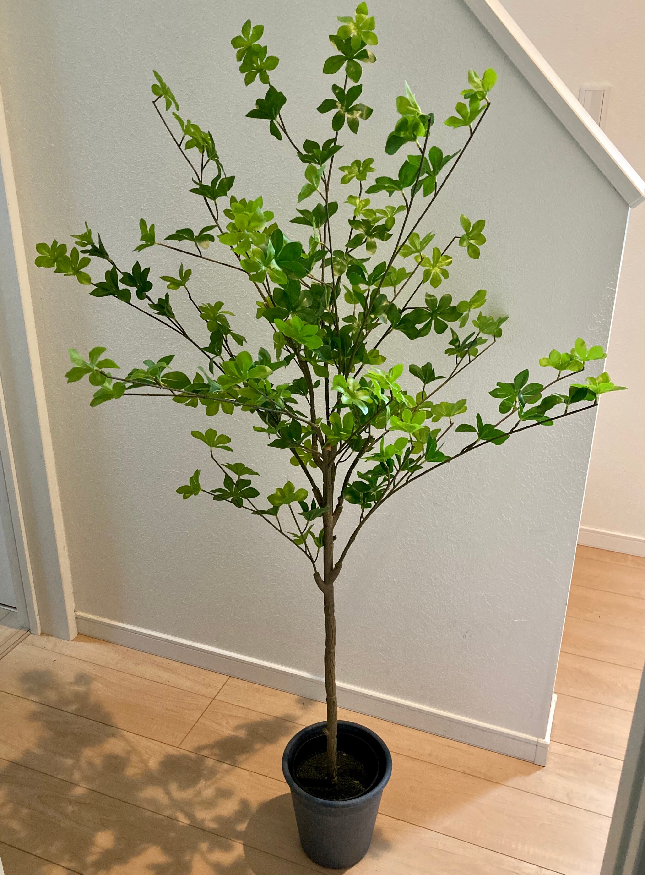 市場 人工観葉植物 P275 A ポット付き 高さ190cm ドウダン