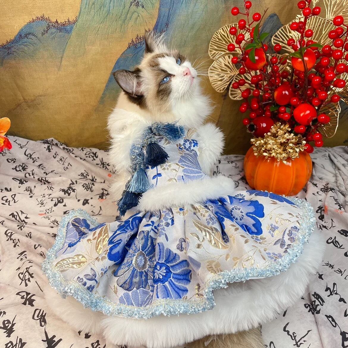 もこもこチャイナドレス | mon ange