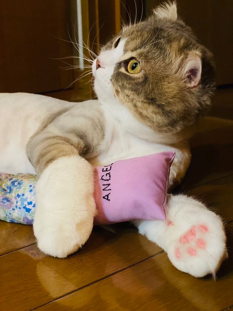 名前刺繍のまたたびキッカー／北欧こばな | mon petit chat 【名前刺繍