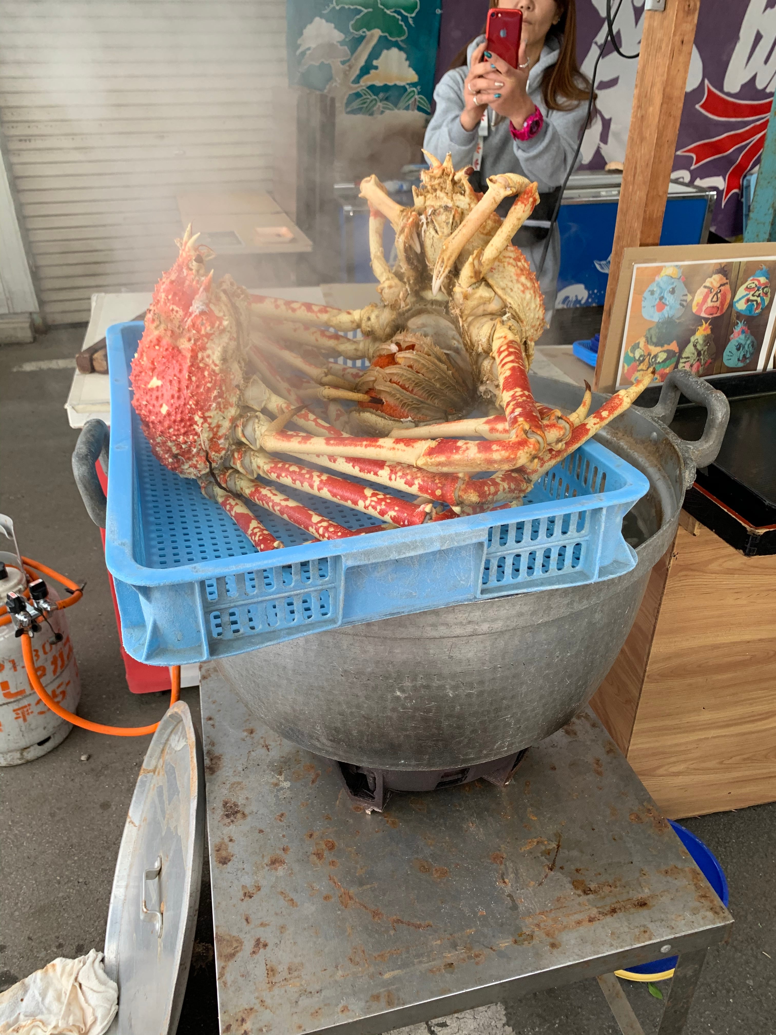 旬の特大限定 朝ゆで蒲郡産タカアシガニ 特大ｻｲｽﾞ (ｸｰﾙ代大ｻｲｽﾞ990円込