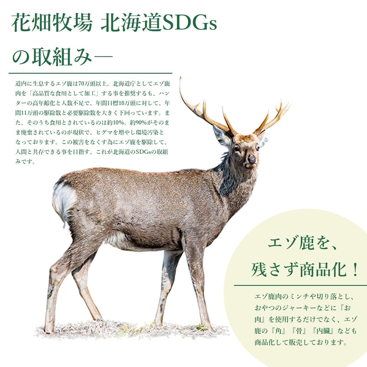 お試し＞エゾ鹿生肉の切り落とし500g | 花畑牧場 ヒューマングレード