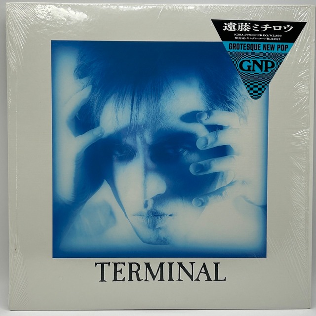 【LP】遠藤ミチロウ – Terminal