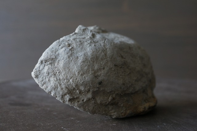 ロシア産パイライト ノジュール Pyrite Nodule 840