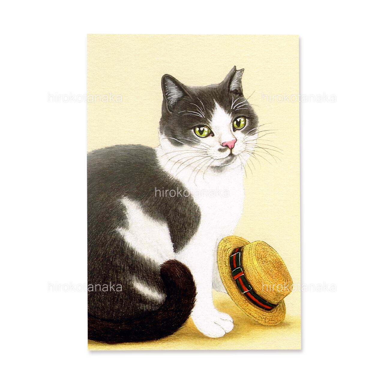9.ねこと麦わら帽 ポストカード / Cat and Straw Hat Postcard