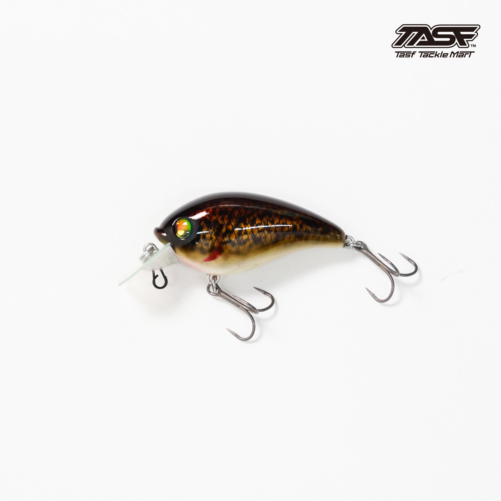 Lure & Tackles | Tasf Tackle Mart