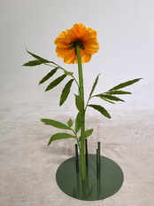 ペーパー ジャイアントフラワー マリーゴールド30cm オレンジ