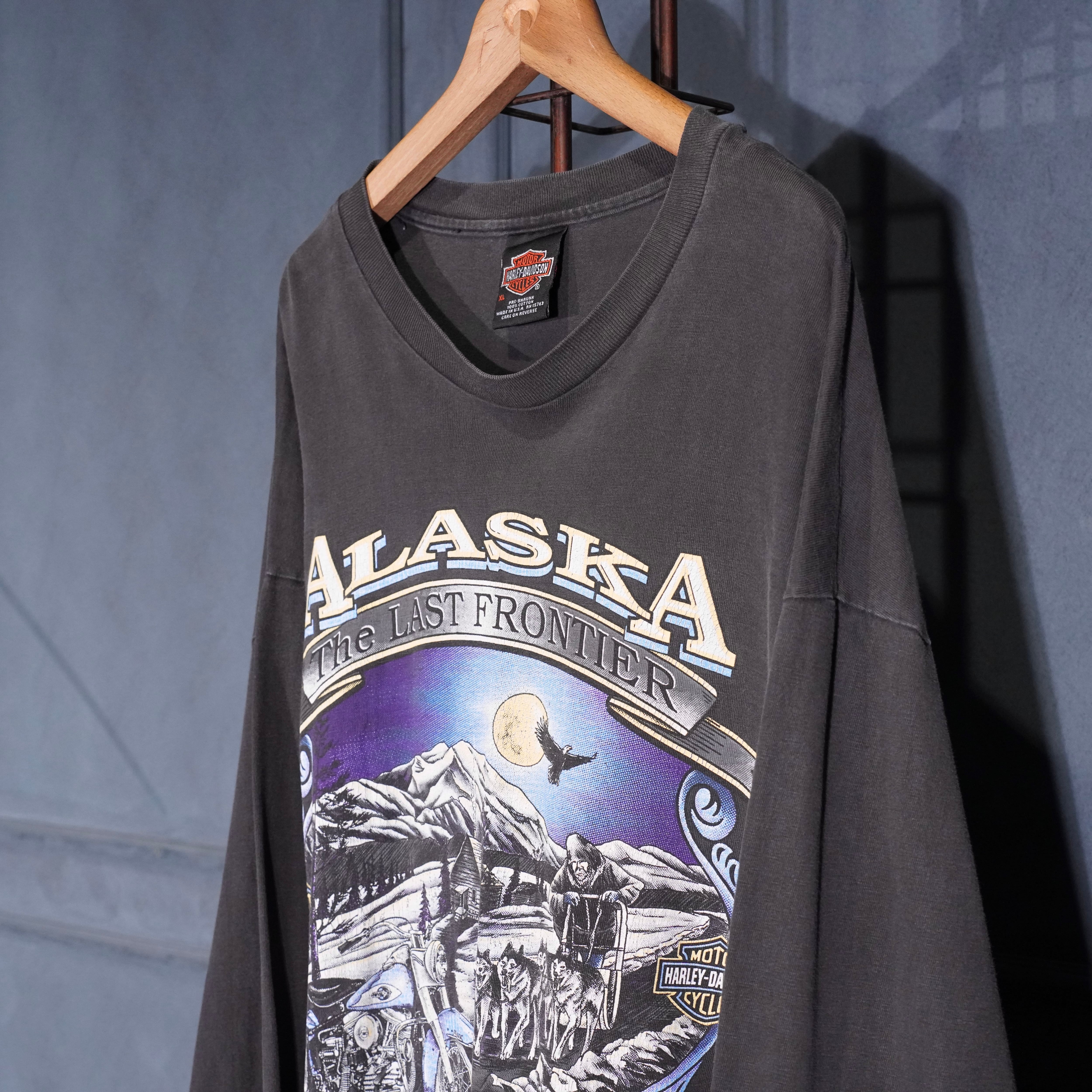 90's USA VINTAGE HANES BEEFY T HARLEY DAVIDSON HOUSE OF DEALER