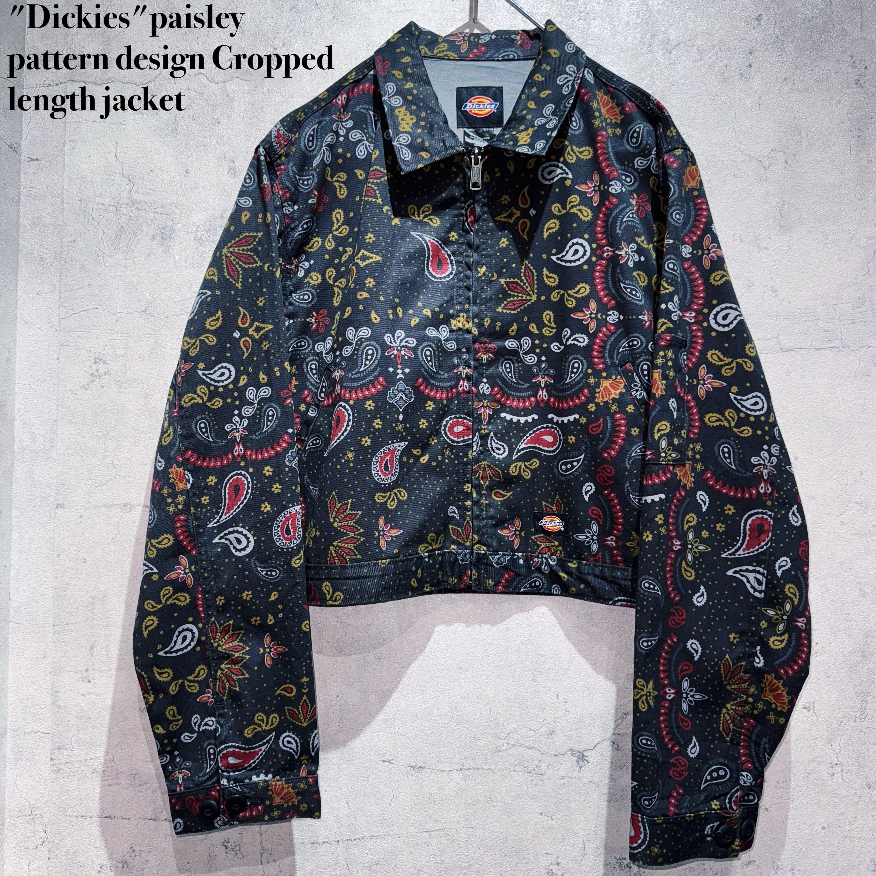 "Dickies"paisley pattern design Cropped length jacket