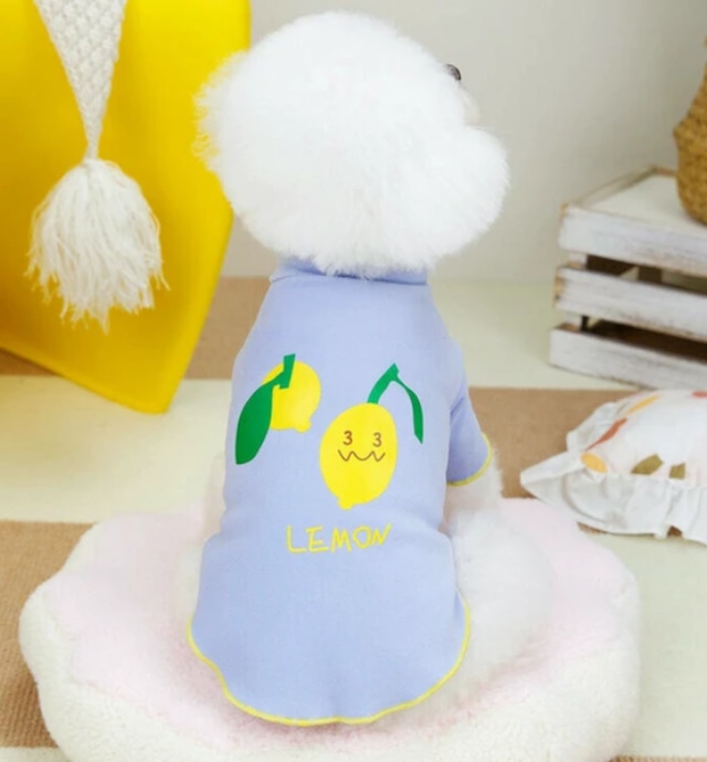 服 犬用 春夏 ペット用品 BQ2686 XSサイズ