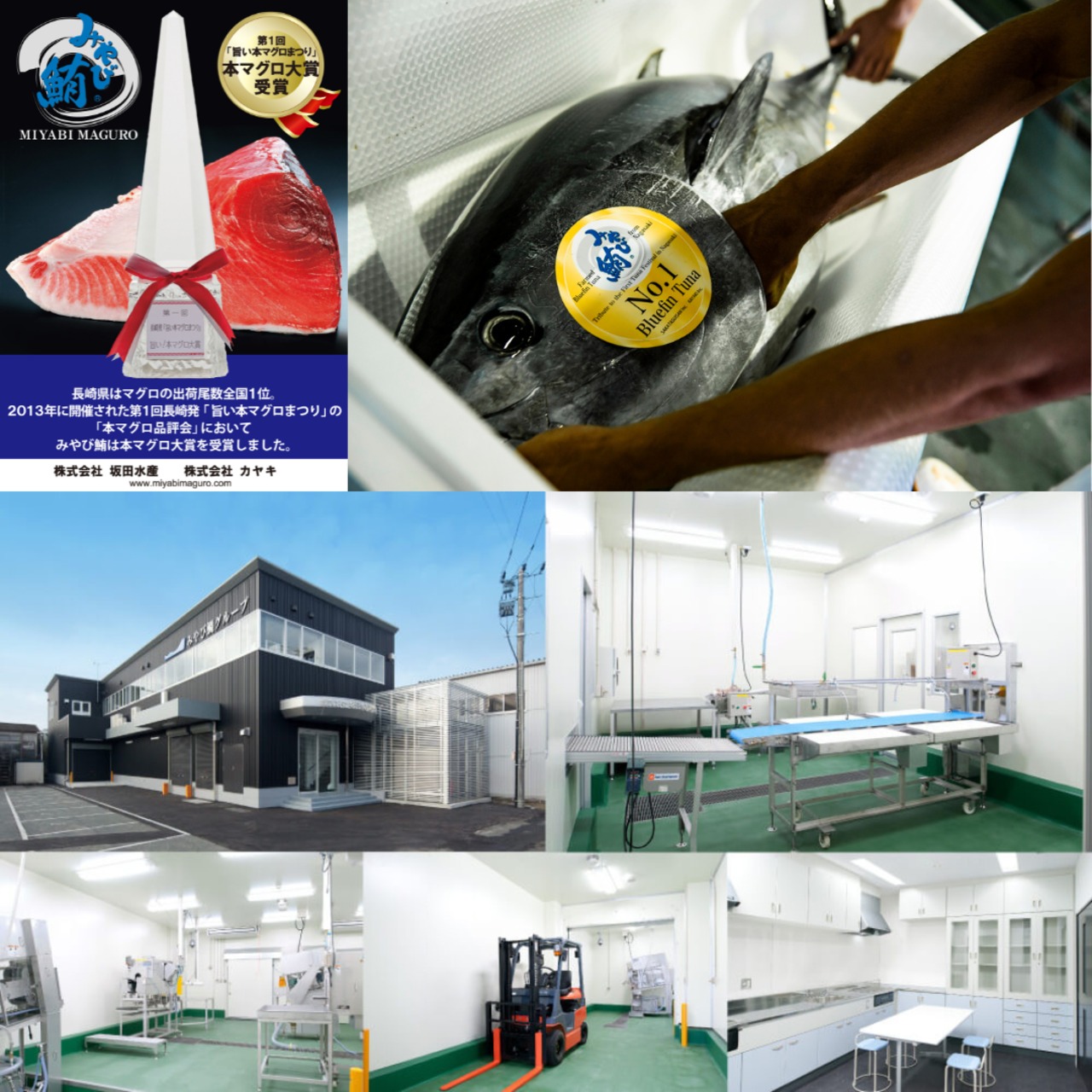 みやび鮪【赤身 600g】