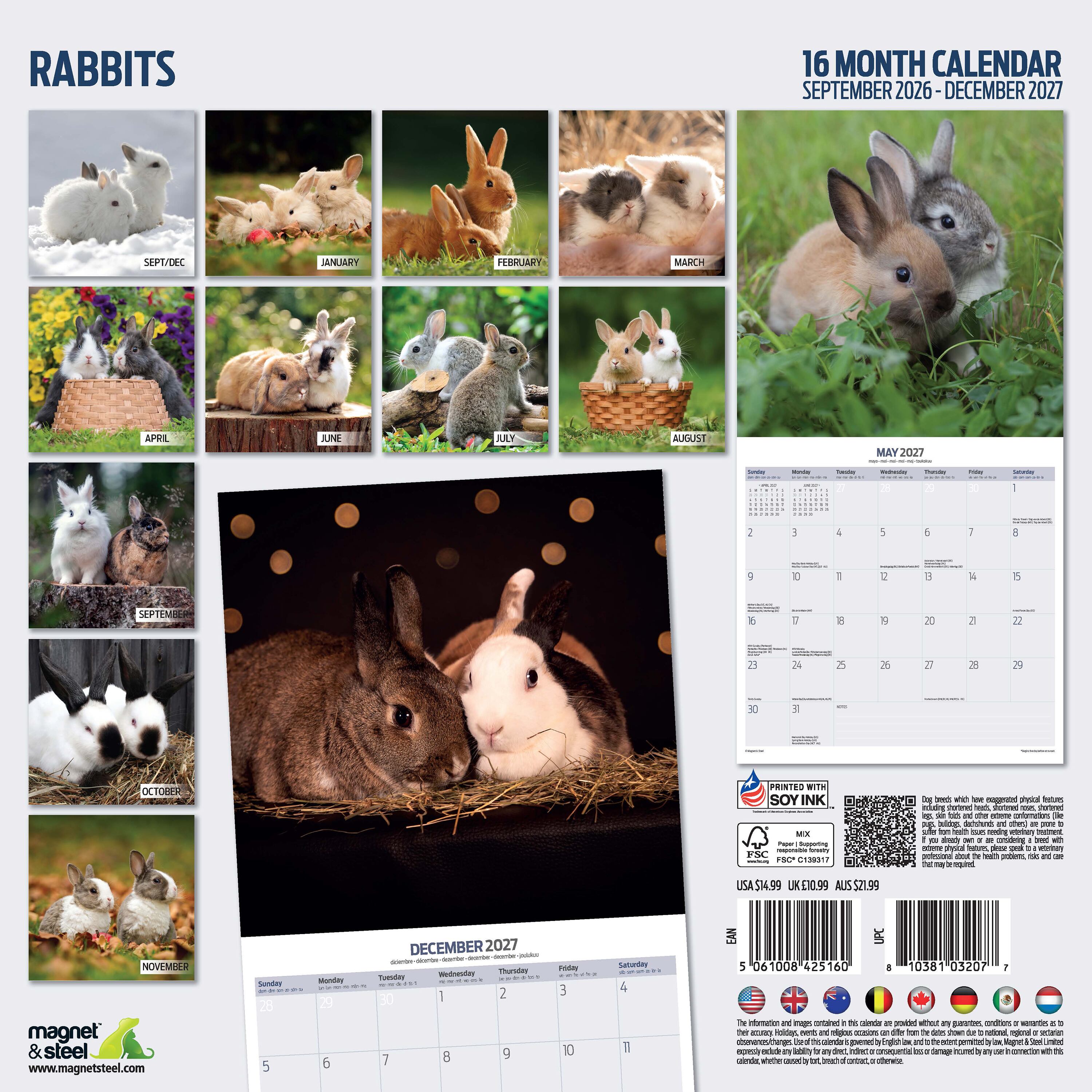 【2027年版】英国製カレンダー【Rabbits】 2027年版