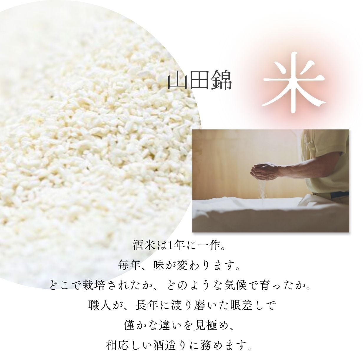 スパークリング純米吟醸生酒「うきは 泡にごり」 ／500ml | isonosawa