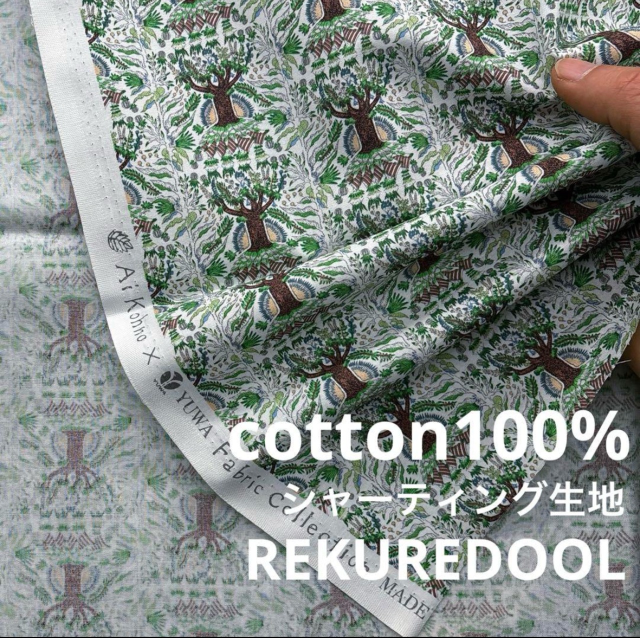 TB494◆2m◆SM◆綿100%シャーティング生地◆河野愛さん