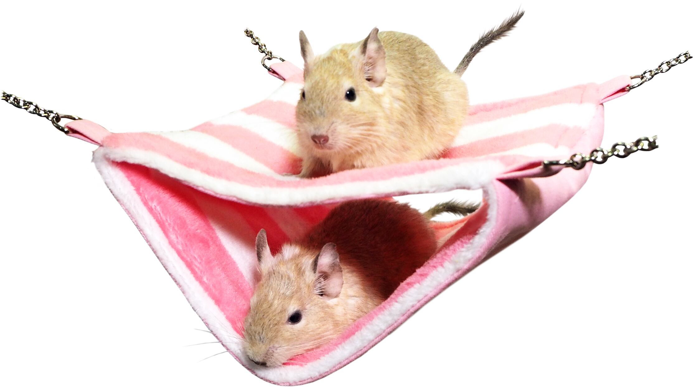 【小動物用品】しましまミニダブルモック ピンク