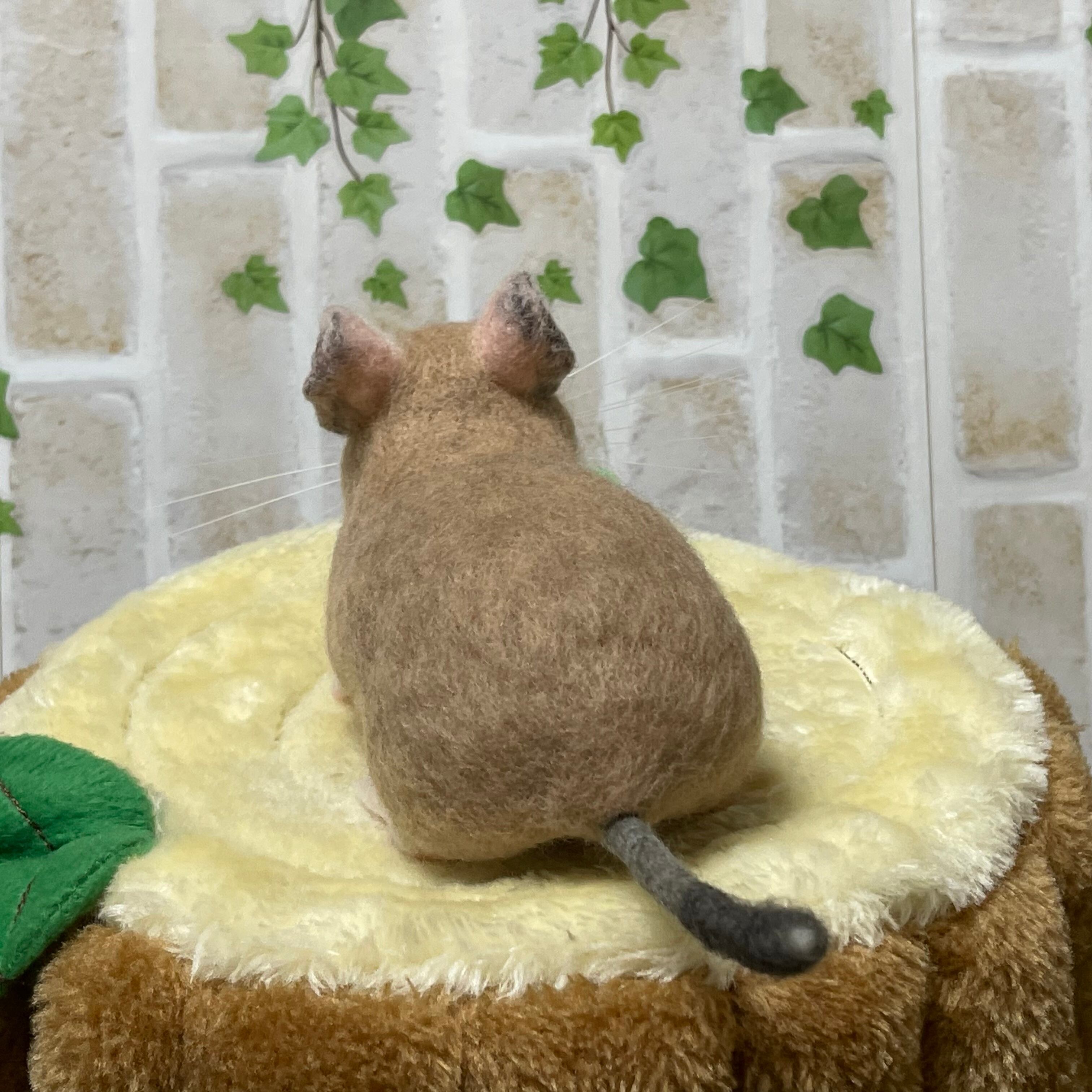 ネズミ子ちゃん様専用 Www Vitaplus Com