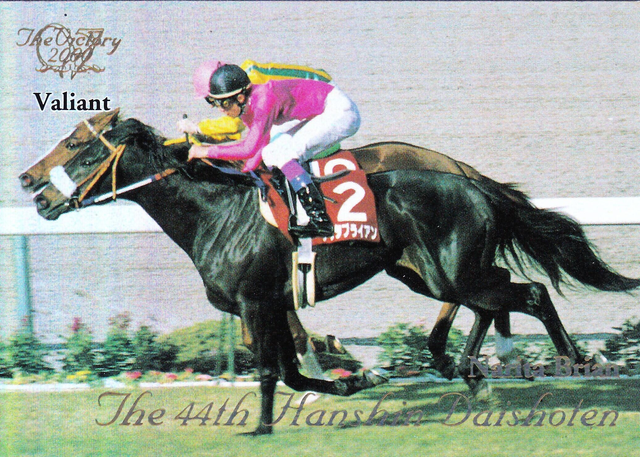 ナリタブライアン たてがみ ナリタブライアン たてがみ ナリタブライアン (Narita Brian) | 競走馬