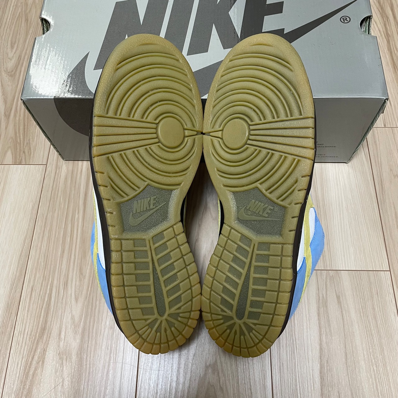 DUNK LOW PRO SB HOMER 304292-173