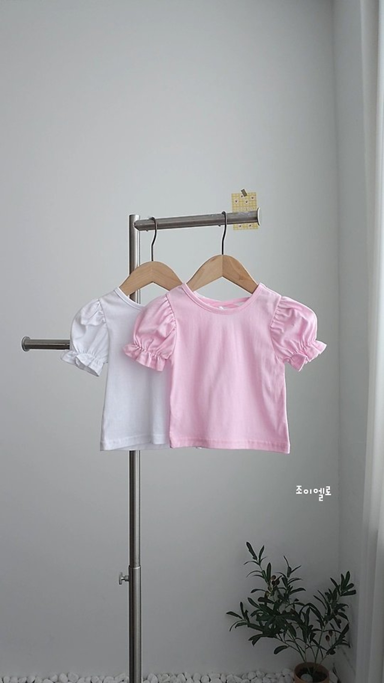 [GIOIELLO] Expert (XL/XXL) / [조이엘로] 엑스퍼프티 (XL/XXL)