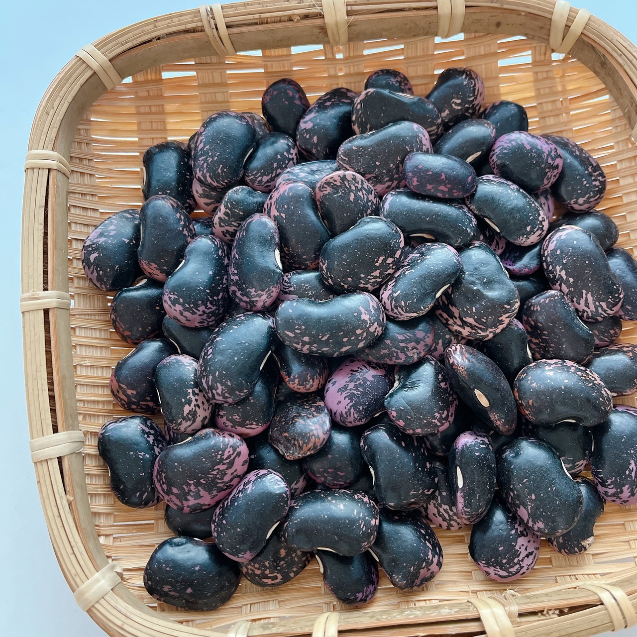 【新豆】北海道産 紫花豆２００グラム （令和５年産）