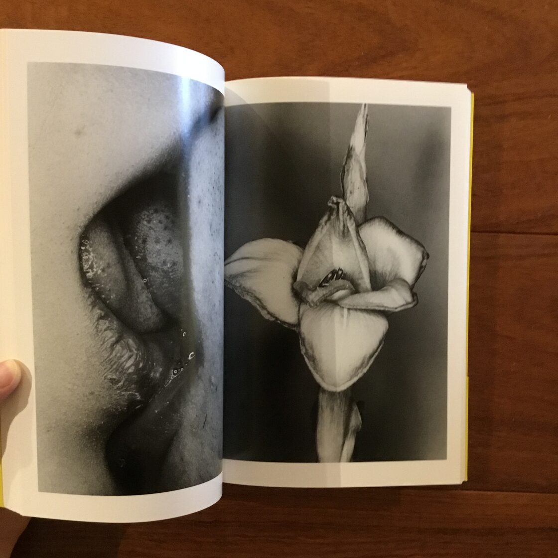 荒木経惟写真全集16巻 エロトス | PAY ID