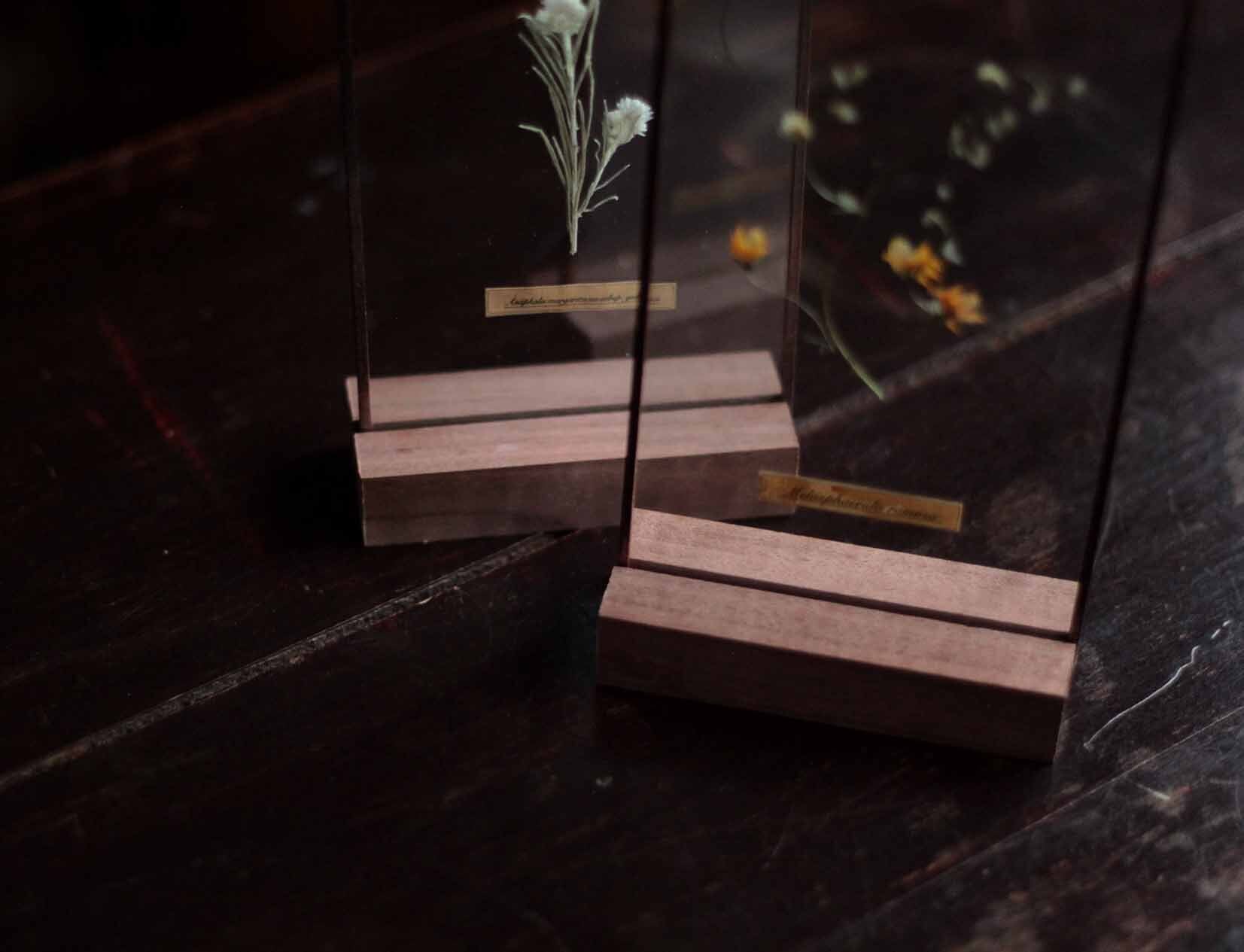 Glass specimen ~季節のガラス標本 ~ | はいいろオオカミ＋花屋西別府商店