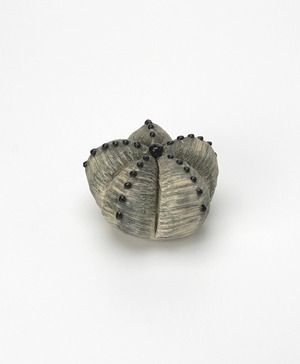 陶植／ランポー玉 - 五角（大）　W/BL-L