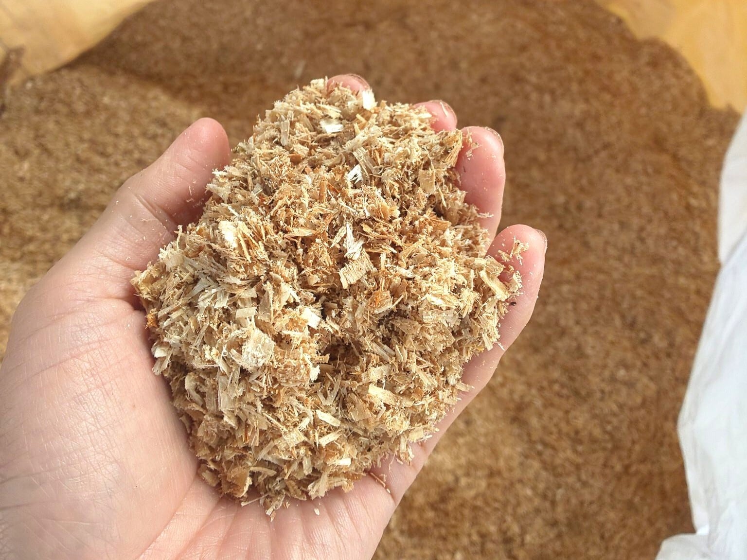 生おが粉 チェーンソー屑 約2kg（約15L） 青森県産広葉樹 未乾燥