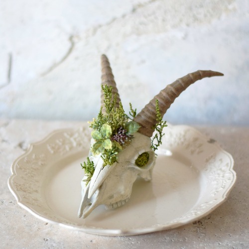 plants born （goat)アーティフィシャルフラワー