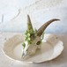 plants born （goat)アーティフィシャルフラワー