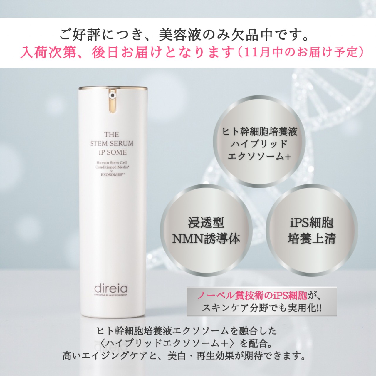 【1週間前後でお届け】ゼルV2＆エリー様お気に入りセット