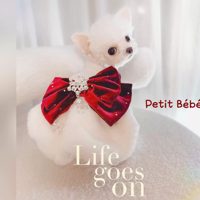 雪の結晶とレッドリボンのふわふわドレス　犬服　00979