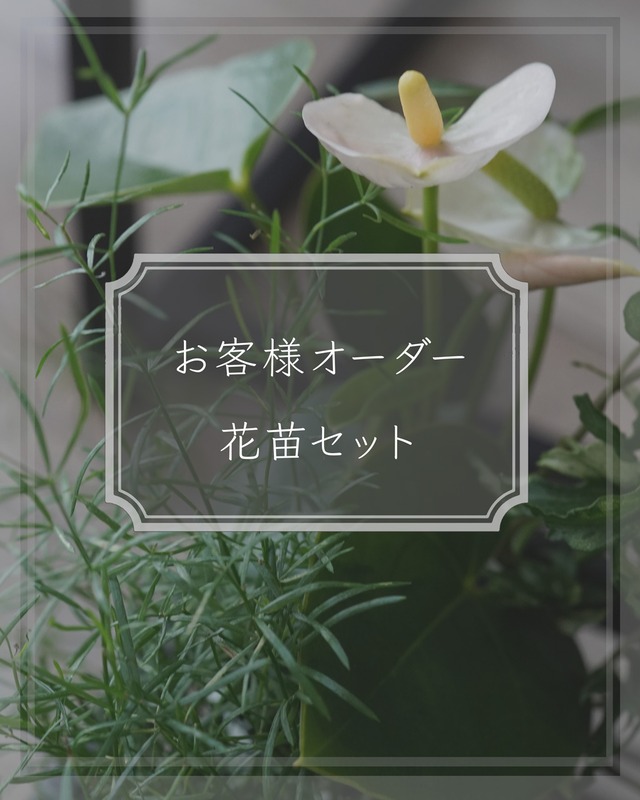 【お客様オーダー花苗セット】