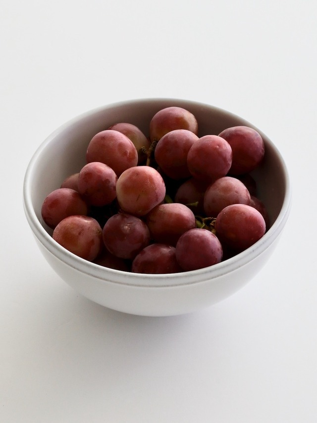 ボウル コスタノバ フリッソ｜FRISO Bowl – COSTA NOVA