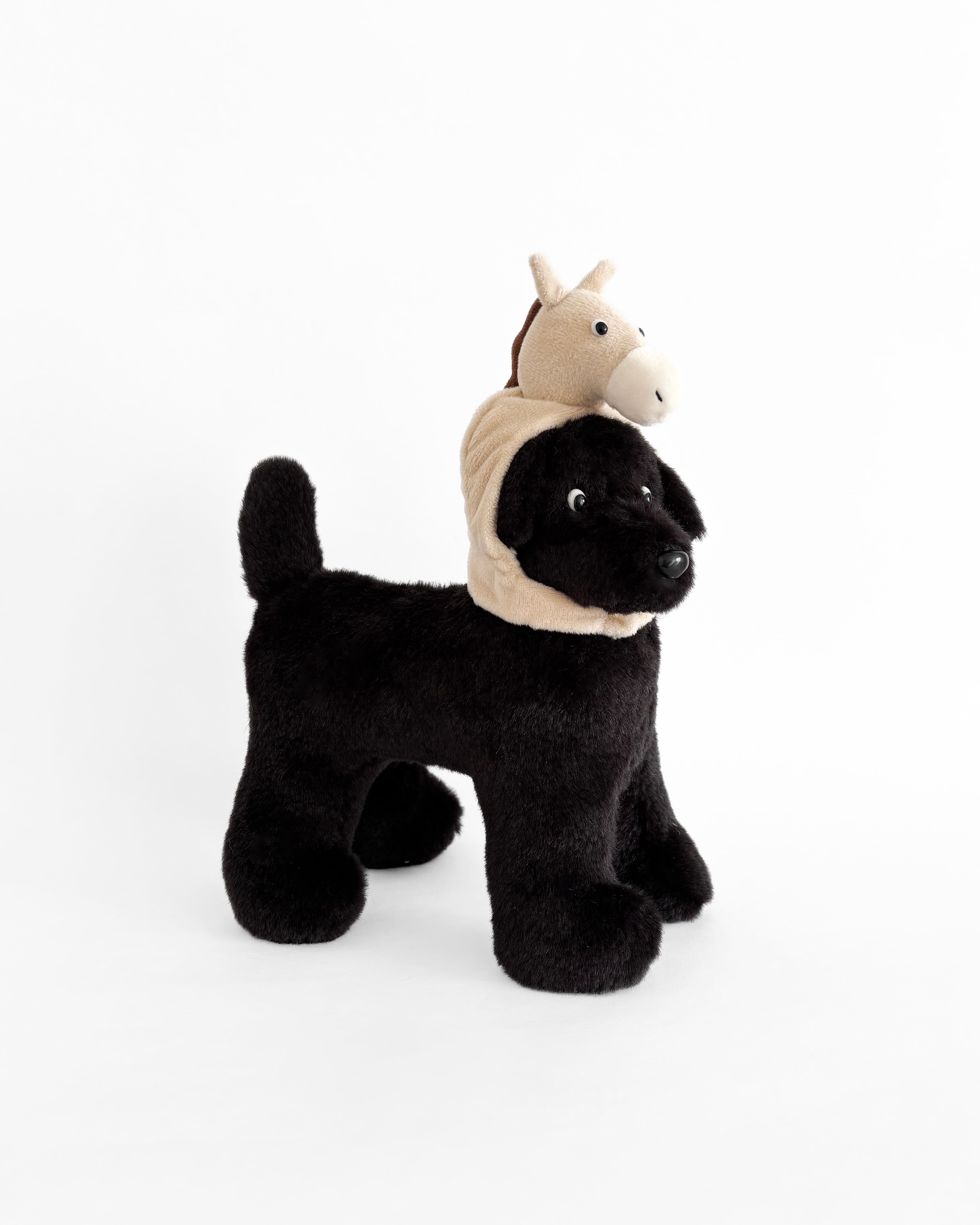 ぬいぐるみ wani souma ぬいぐるみ wani souma はっきり見えても心を傾けることができる • BE