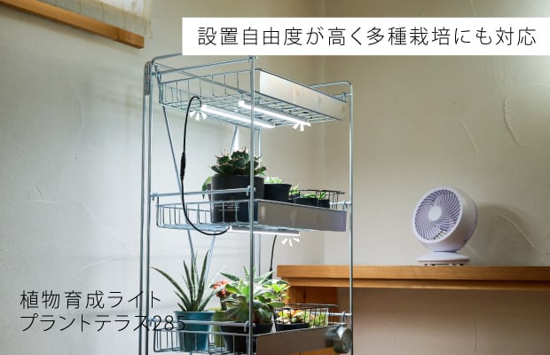 植物 棚 植物用ライト KY-ST-SC スタンド型植物育成ライト 1台 富士