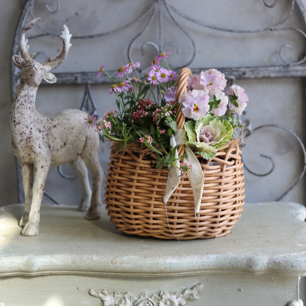 冬から春に楽しむ寄せ植え　ビオラティアードのピンクなカラーのハボタンのバスケットの寄せ植え　お正月にオススメ　届いてすぐ玄関に飾れる 　プレゼントにもオススメ　